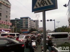 红绿灯青岛爆料最新消息,交通调整与违规处理动态揭晓